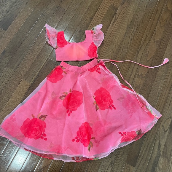 NWT Toddler Matching Lehenga and Choli Dress Set - Picture 5 of 9